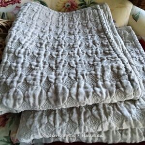 Dransfield & Ross Linen Pillow Shams Standard